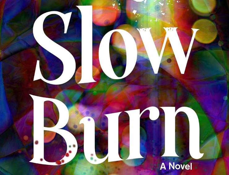 Blog tour: Slow Burn by Amal Singh